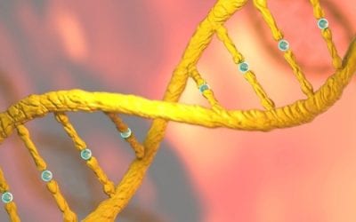 New “Prime Editing” Method Makes Only Single-Stranded DNA Cuts